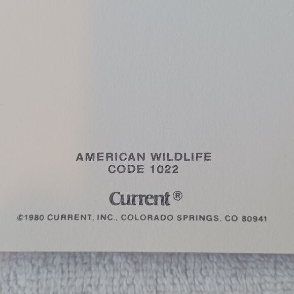 1980 American Wildlife Greeting 8 Cards From Current Vintage w Envelopes & Box - Picture 15 of 16